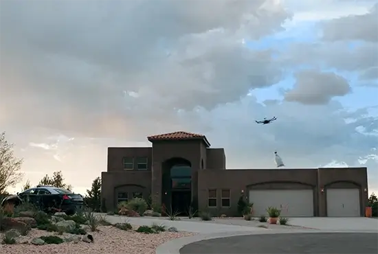 Одна из многих. Есть молоко?